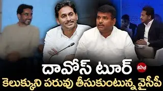 దావోస్ టూర్.. కెలుక్కుని పరువు తీసుకుంటున్న వైసీపీ | YCP Leaders Comments On Davos Tour | Bird Media