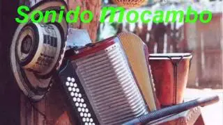 CARTERITA DE NYLON-ALFONSO PI&Ntilde;A