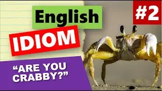 English Idiom #2 - Are You Crabby?