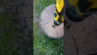 шуруповерт ударный Zuhause