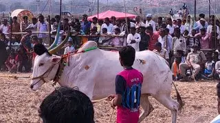 🔴 గుడికల్ అంతర్ రాష్ట్ర గిరిక పోటీలు 2026 //  6 వ జత