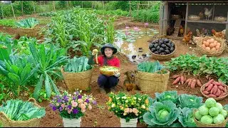 Harvest: Black Apple Snails, Chicken Eggs, Okra, Kale, Sweet Potatoes... – Sell At The Market