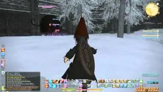 Final Fantasy XIV - Mining Bot Cheater