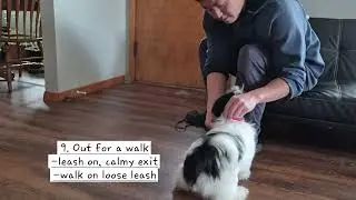 Pandice testing for the VHMA title
