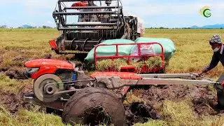 Amazing Safety Operator Tractor Stuck In Deep Muddy Recovery By Harvester Driving Skills