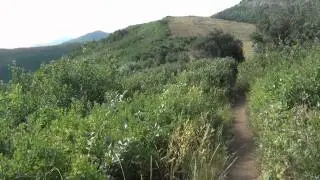 Fast Tracks on the Mid Mountain Trail