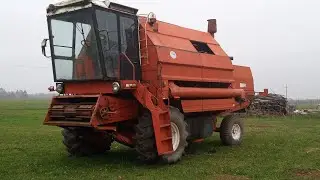 Vlog #7 Bizon gigant z083