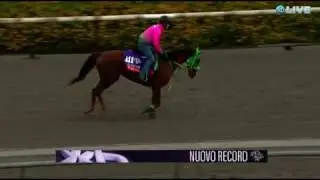 Japanese runner Nuovo Record at Santa Anita Nov. 2, 2016