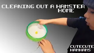 Cleaning a hamster's home || Butters our new cute hamham!!