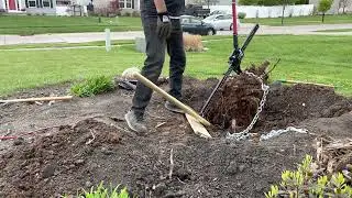 Removing tree stumps using harbour freight farm jack
