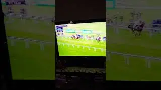 #keithvlog4k  #racinglive  #racinghorse