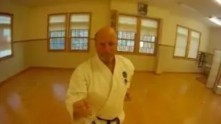 Mr. Miyagi's Fighting Exercise, with Gordon Fisher