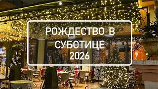 Рождественская Суботица 2026. Сербия, Воеводина | Christmas Subotica 2026. Serbia, Vojvodina