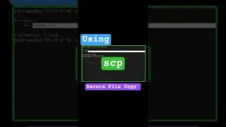 scp command for secure file copy over ssh, copy file to and from server securely #ssh #scp #linux