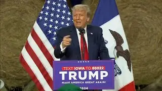 Not guilty plea entered on Trump's behalf in election case
