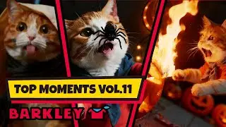 No spiders allowed at home + More｜Barkie-Cranky Compilation Top Moments Vol.11