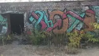 Kings park asylum