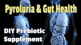 Pyroluria and Gut Health | How Can I Get More Prebiotic Fiber In My Diet