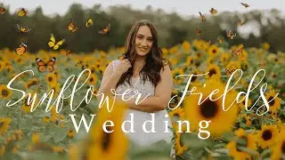 Wedding at Sunflower field