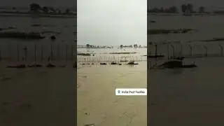 india pak border flood # india#pakistan #flood #trendingshorts