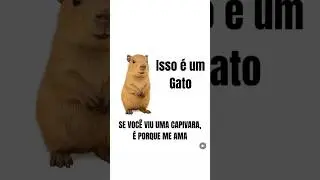 #MarqueQuemVoc&ecirc;Ama #RomanceFofo #CapivaraFofa #GatoFofinho #AmorQueEncanta #CasalApaixonado #teamo