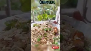 Bihari style chura fry💗#chura #poha #matar #greenpeas #eveningsnacks #snacks #viral #bihari #indian