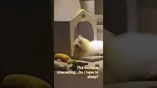 The movie is interesting...Do I have to sleep?