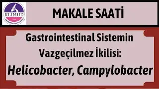KLİMUD Makale Saati - Gastrointestinal Sistemin Vazge&ccedil;ilmez İkilisi: Helicobacter, Campylobacter