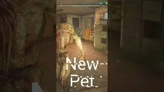 My new Pet!!! #S T A L K E R #pet #stalker2  #gaming #game