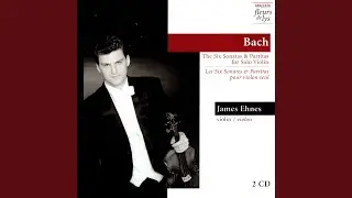 Sonata No. 3 in C Major, BWV 1005: III. Allegro assai