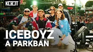 A Wellhello előtt l&eacute;pett fel az Iceboyz a Budapest Parkban