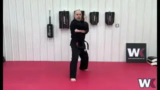 Fighting Stance