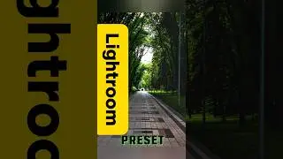 Топовая обработка Lightroom 10 (обработка для телефона Lightroom)