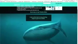 Denver Wix Web Designer &ndash; Parallax Scrolling Demonstration