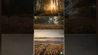 #india  