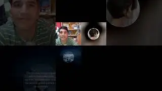 مواجهة بين بنت الشعب وباقي الاحرار مع ذبانة مدربة ديال المخابرات المغربية/