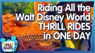 Is It Possible to Ride Every Thrill Ride at Walt Disney World in ONE DAY?!