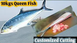 ||10kgs King size Queen Fish||Customized cutting||Kasimedu Fish Market||Joy Fresh||