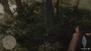Fluffing Around Inn RedDead2 With MotherWolf