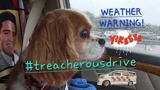 WEATHER WARNING treacherous driving conditions #campervanningwithcavaliers #drivingrain #drive #rain