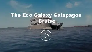 The Eco Galaxy Galapagos Cruise - Small Ship Galapagos Cruise