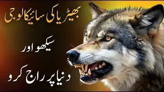 Is the Wolf Mentality the KEY to Achieving Your GOALS? | 4 Rules  Motivational Video