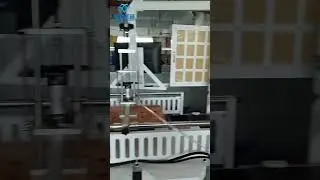 Automatic & Semi-Automatic Box Making Machines in Action | Customer Factory Showcase #boxmachinery