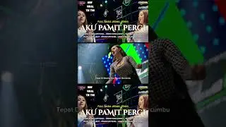 DJ AKU PAMIT PERGI | IRPAN DISCJOKEY #horegjawatimur #soundviral #soundviraltiktok #irpandiscjokey