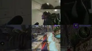 Entering Viscint