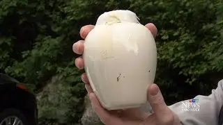 Unusual discovery: Urn full of ashes found in B.C. woods