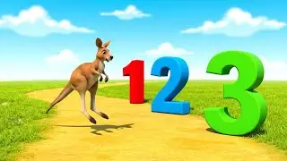 Baby Kangaroo Mixed All the Hopping Numbers 🦘 | Nursery Rhymes for Kids & Baby Songs