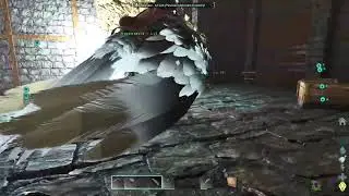 What mischief to get into today? Ragnarok - Ark Ascended (Friendly server if you like to play)2