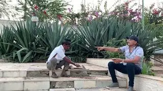 PI TOCA PRA TIRINGA 😂😂 | COM&Eacute;DIA SELVAGEM &reg;