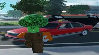 i became a tree in emergency response liberty county